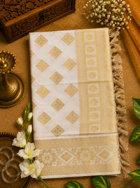 SET SAREE-SSP 14
