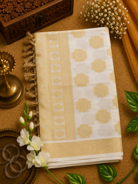 SET SAREE-SSP 14