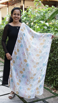 Chiffon Dupatta. CH270